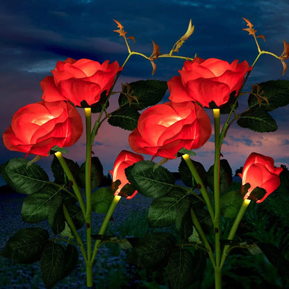 Rosas de Energia Solar - Swanlight - Decore seu Jardim