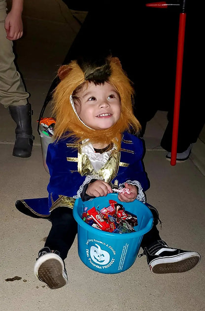 Fantasia Infantil Fera A Bela e a Fera