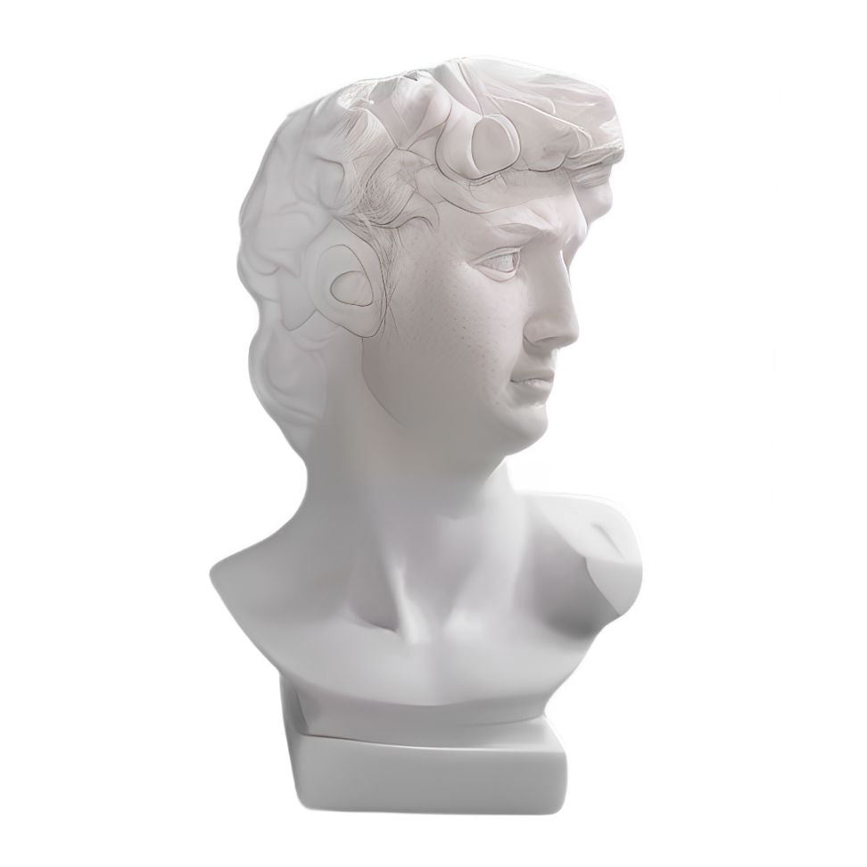 Escultura e Vaso Decorativo David Michelangelo Resina - 0049 Conceito 