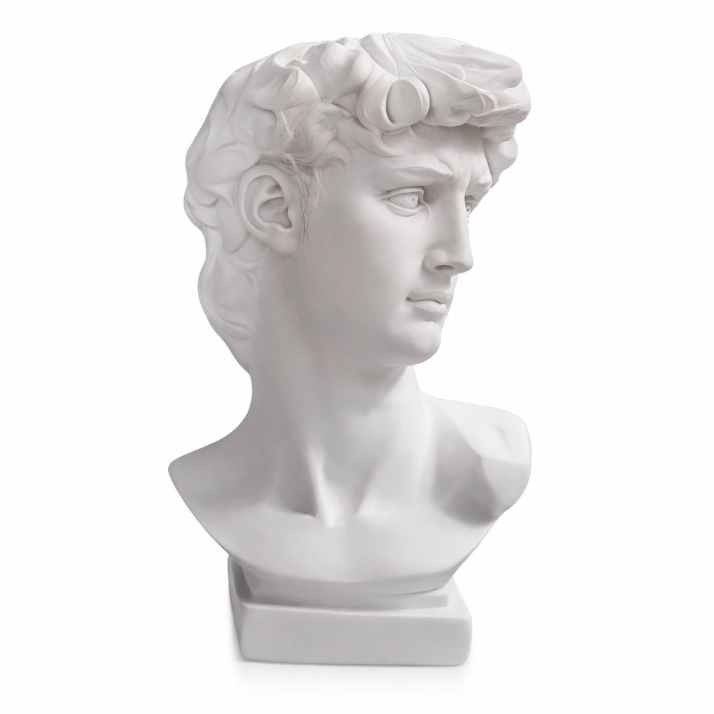 Escultura e Vaso Decorativo David Michelangelo Resina - 0049 Conceito 