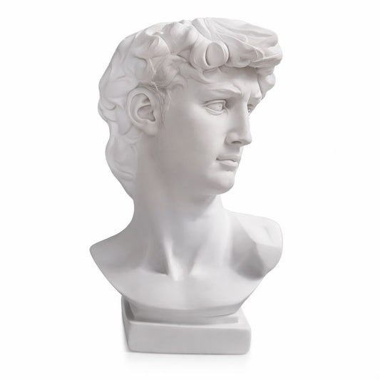 Escultura e Vaso Decorativo David Michelangelo Resina - 0049 Conceito 